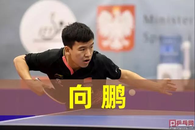 据库与开局 据库与开局